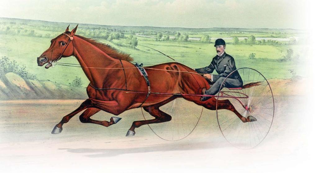 America s Original Pastime Maud S by Currier & Ives Standardbred racing is a rich part of American history. In America s formative years, nearly every household had a horse.