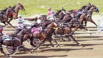 The name Standardbred originated because the early trotters (pacers would not come into the picture until later) were required to reach a certain standard of time for the mile distance in order to be