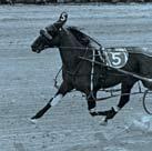 Bret Hanover: A three-time Horse of the Year from 1964 through 1966, Bret Hanover was one of the greatest pacers ever to look through a bridle.