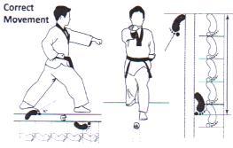 Forward stance ( Apkubi) - 4~4½ foot-length from origin - Front foot facing forward - Back foot angled at 30 degrees - Weight : 70% in front, 30% at the back - When you look down towards the front