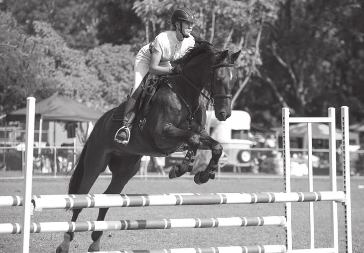 All Entries for Show Jumping Classes are via Global Entries Online under Darwin Show Jumping Club http://www.globalentriesonline.com.au/ $15.