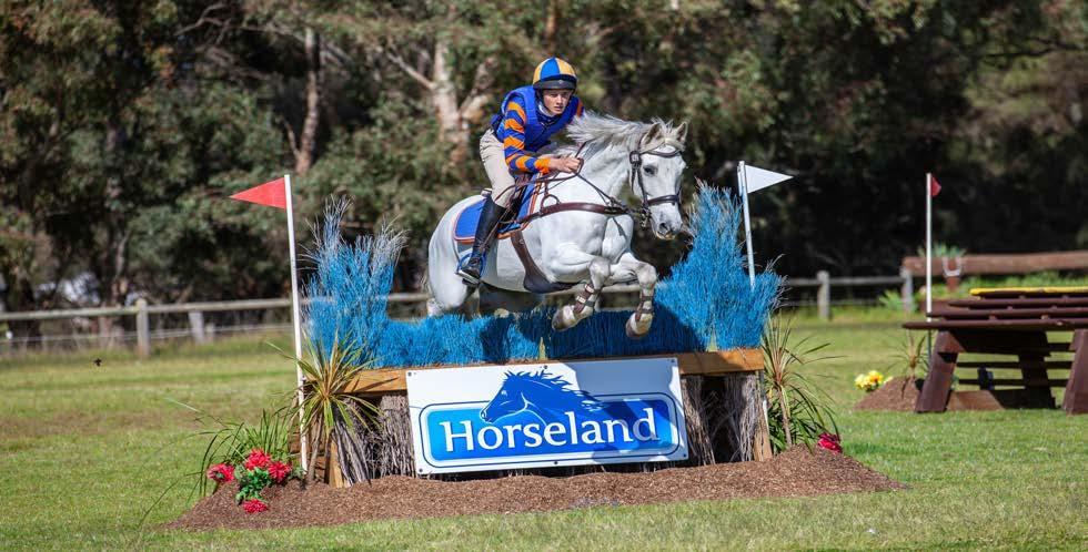 SHOW HORSE OF THE YEAR EWA Show Horse is one of the many equestrian sports of Equestrian Australia, Show Horse is best summarised as a horse being beautifully conformed, of high quality, a