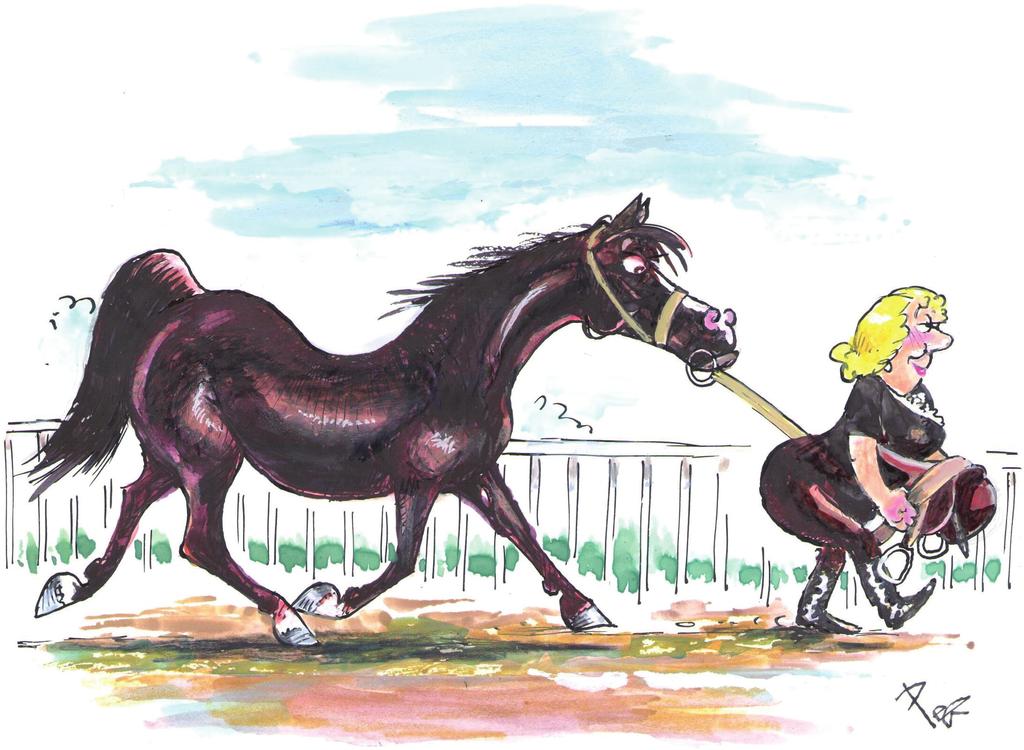 IN THIS ISSUE PEB s TDN Sketch of the Week CO-PUBLISHERS President: Barry Weisbord barryweisbord@thetdn.com @barryweisbord Vice President: Sue Finley suefinley@thetdn.