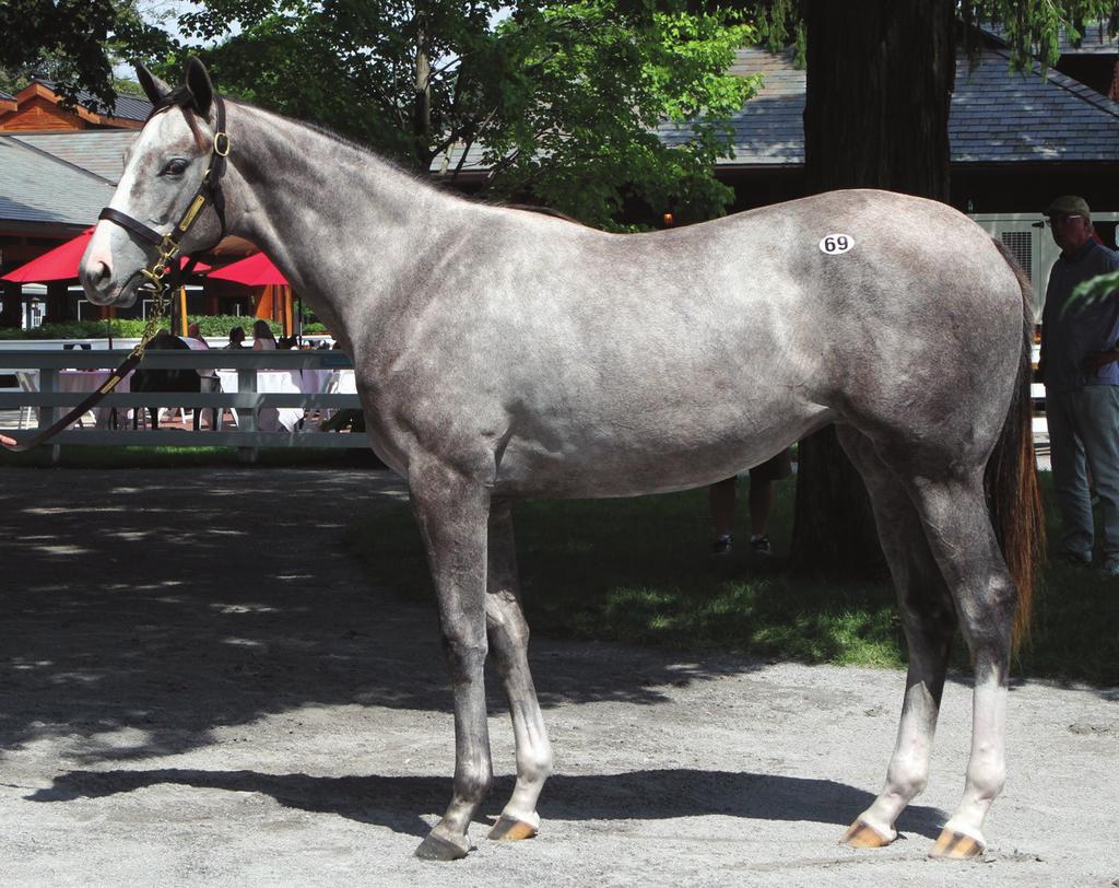 proved almost twice as popular at Fasig-Tipton Saratoga Monday night, selling for $1 million to the bid of Nat Rea=s Regis Farms.