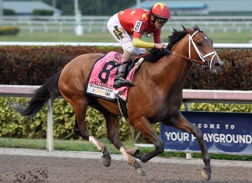 Trainer: Todd Pletcher Jockey: J.J. Castellano Earnings: $882,920 Cost as a yearling: $500,000 Sire: Into Mischief ($100,000 stud fee) Best 2 yr. speed: 84 Best 3 yr. speed: 99 Best 3 yr.