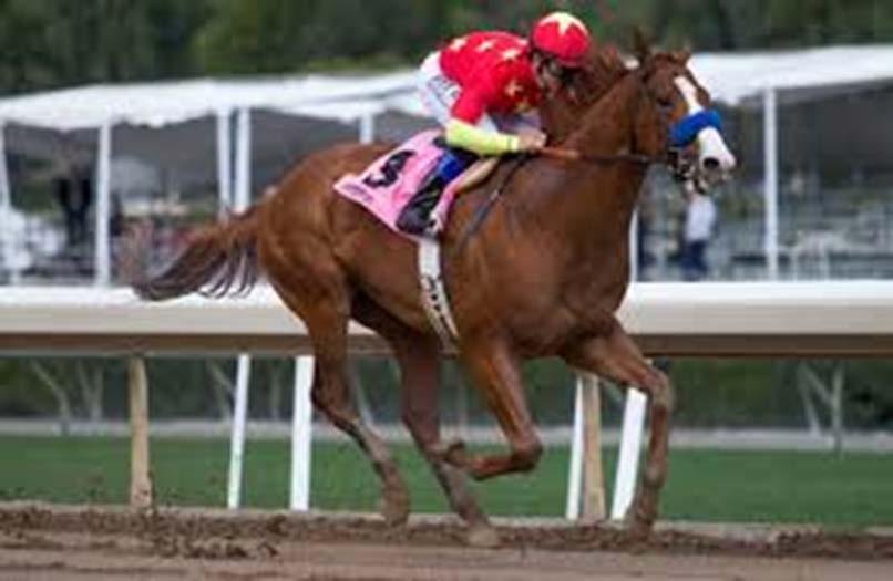 Justify Trainer: Bob Baffert Jockey: Mike Smith Earnings: $666,000 Cost as a yearling: $500,000 Sire: Scat Daddy ($30,000 stud fee) Best 2 yr. speed: No figures. Did not run at 2 Best 3 yr.