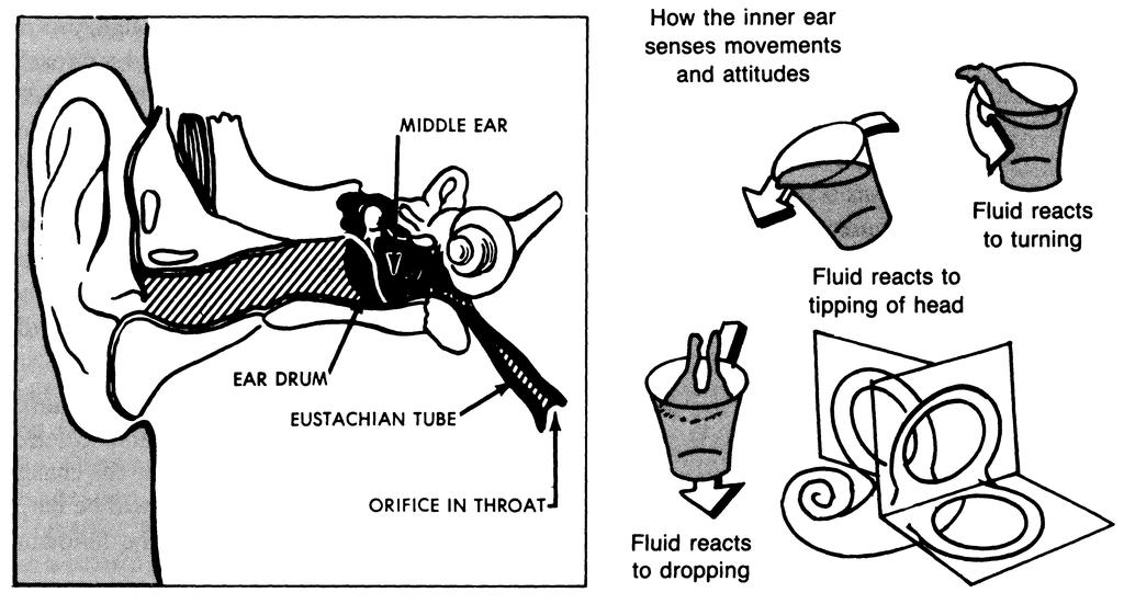 Instrument Flying. The inner ear. J.R.