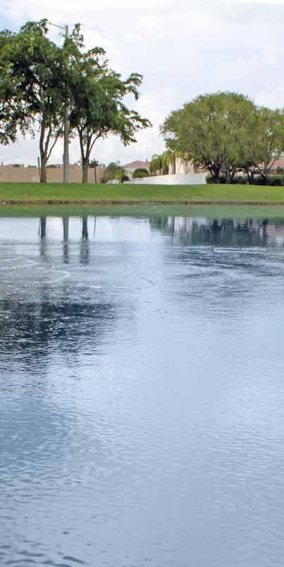WATER TESTING ANALYSIS Is the water in your lake clear or cloudy? Does it have any odors? At the heart of the lake or pond is the water itself.