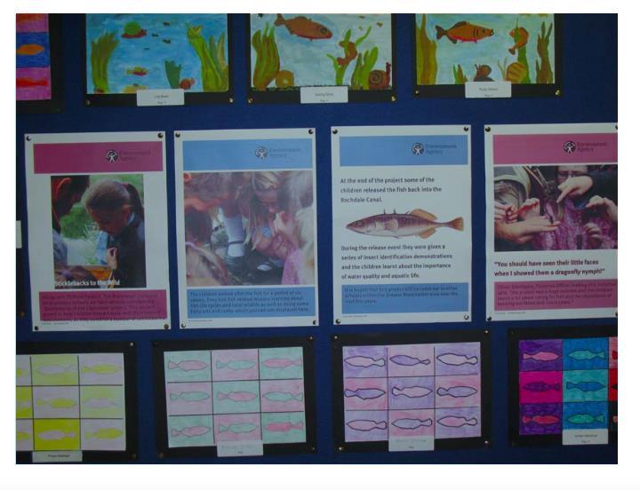 Sticklebacks in Schools One of the first projects to use fish in the