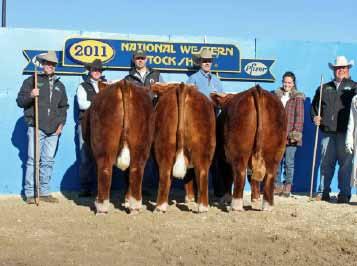 The last four pens exhibited have won their division at the National Western in Denver and have grabbed the Reserve Champion pen in Ft. Worth.