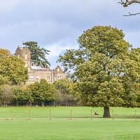 The walking route heads out through Horsham Park and the Warnham Court Estate to reach the nearby village of Warnham, before returning via arable farmland and ancient lanes.