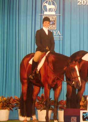 Hip # 82 - Iron Copy - 04 b.g. (Iron Enterprise x Copy My Luck) AQHA I.F. 16.2 h. 8th AQHYA World Show Hunter Under Saddle, Open and Youth (twice) Performance ROM with points in 6 events.