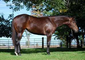 Hip # 24 - Envy My Goods - 13 br.m. (Zippos Mr Good Bar x Only Classic Chips) AQHA I.F. Tom Powers, Southern Belle eligible.