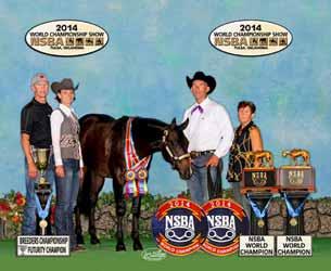F. 3rd in Ltd Open 2YO Western Pleasure at Tom Powers, 4th at NSBA World Show, 4th at Michigan Breeders Slot class. Almost $5,000 in 3 shows! (Jason Ducharme) video: https://www.youtube.com/watch?