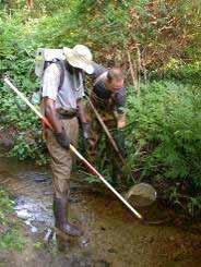 Wadeable Streams - Electrofishing As with lakes the summer months are a critical time period for trout survival due to elevated temperatures, lower dissolved oxygen concentrations, and reduced flows.