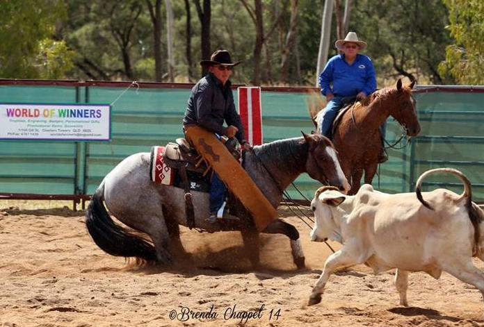 Individual Event Sponsorship - $250 Naming rights to one individual event held at one GCC show in 2019 Announcements and acknowledgements by announcer at the specified 2019 GCC show Presentation and