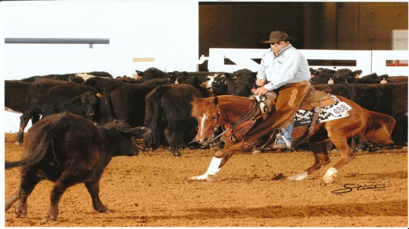 SOUTHERN CROSS CUTTING HORSES TRAINER : JOHN GARLAND ARABIAN CUTTING LTE : $ 48,953.