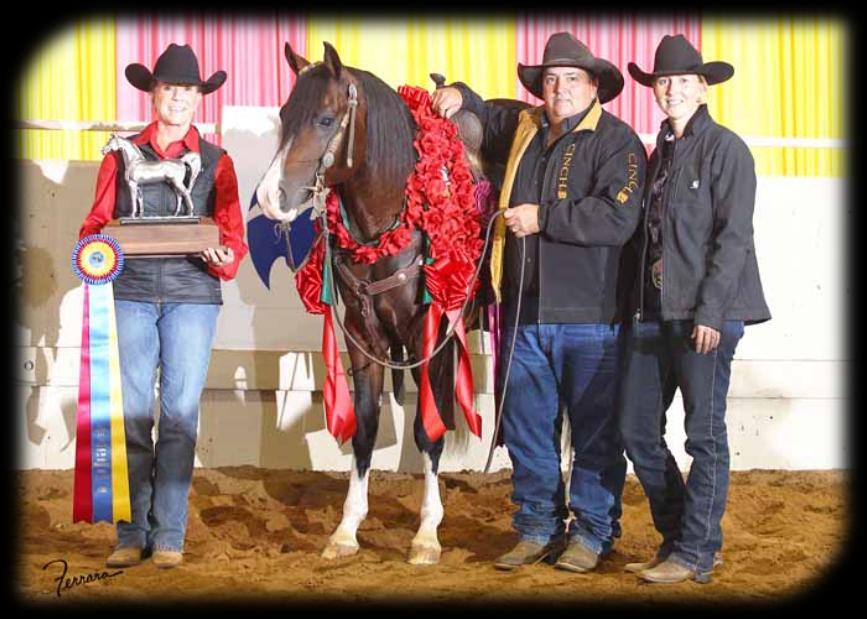 KOPPER WILL BE STANDING FOR STUD AT SOUTHERN CROSS CUTTING HORSES ~ FOSTER, OK FOR THE