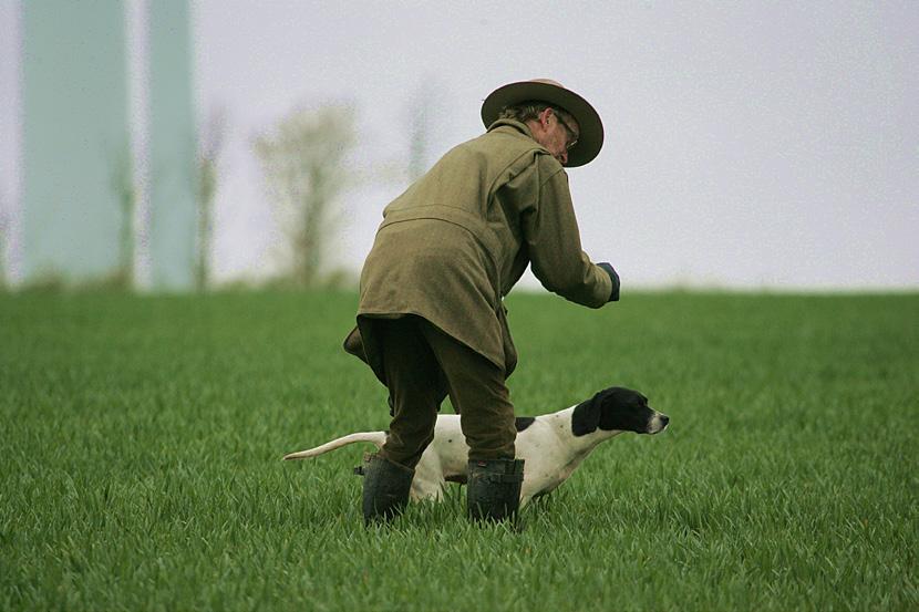 PREPARATION Whilst the Judges on the day are looking for natural working ability, for retrieving breeds it is expected that your dog has had experience of handling freshly shot game, will retrieve