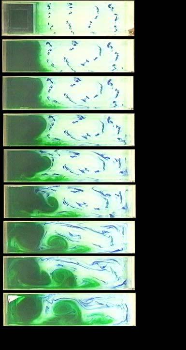 Time series showing geostrophic adjustment in a rectangular channel, where the deeper green fluid is held back by a barrier (top panel) which is removed ((2d panel); a geostrophic flow develops as