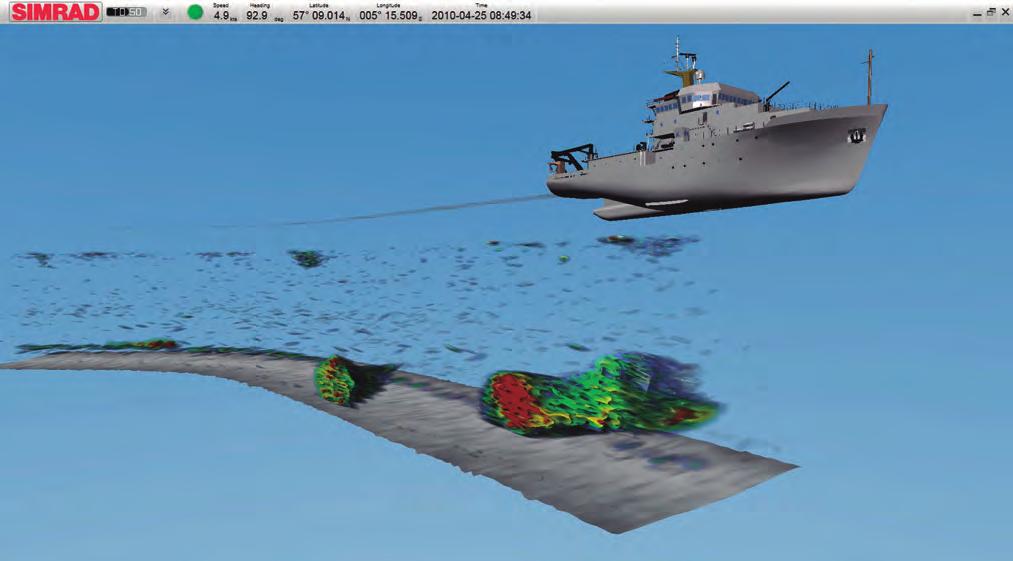 The Simrad TD50 Multibeam 3D Visualisation Software is shown presenting sand eels on sand bottom.