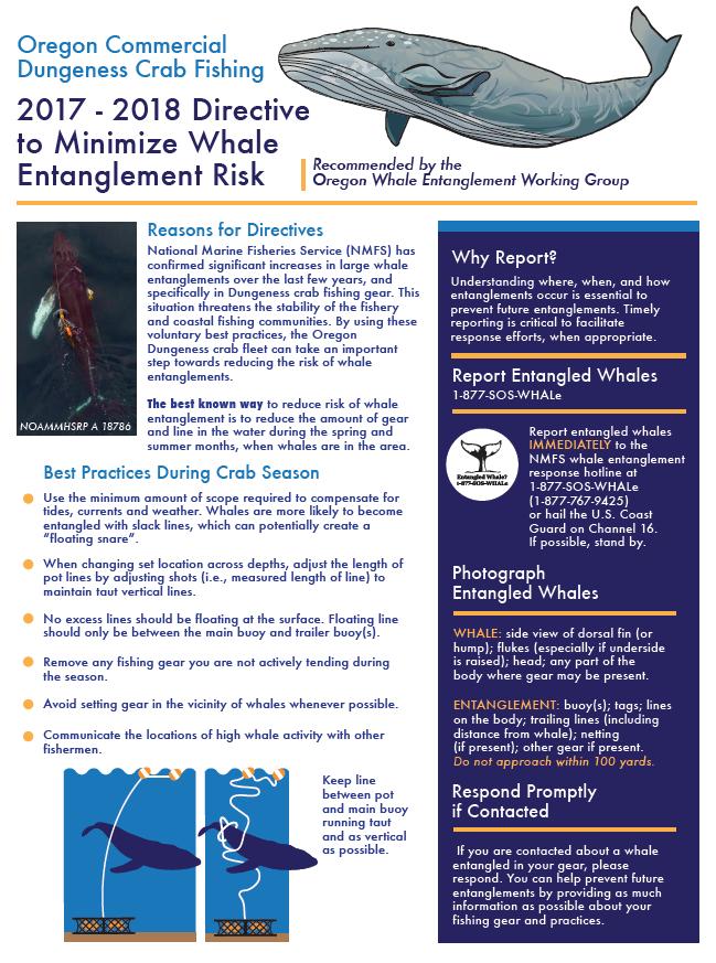 Oregon Whale Working Group Gained a better understanding of the issue and identified information gaps; Developed an Oregon Dungeness Crab Best Practices Directive to provide industry with best known