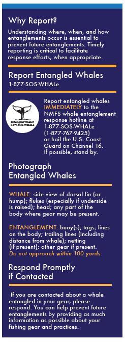 Options to increase what we know about entanglements and whales off Oregon 1.