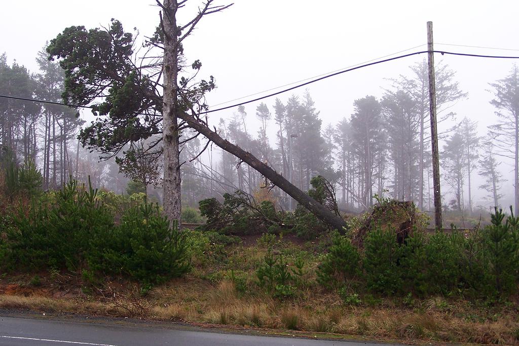 Southwest BC Windstorms These windstorms typically produce wind gusts in the range of 90-105 km h-1 in the major urban