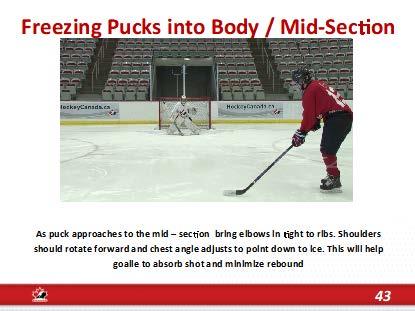 Allows goalie to catch & control rebounds Stick on ice slightly angled where toe is ahead of heel of stick Elbows bent with gloves in front of eyes Make arm motion as efficient as possible, arm and