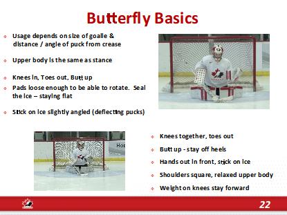 Explain when to use the skill (on bottom of slide # 21) Mini-lecture: Butterfly basics- 10 1.
