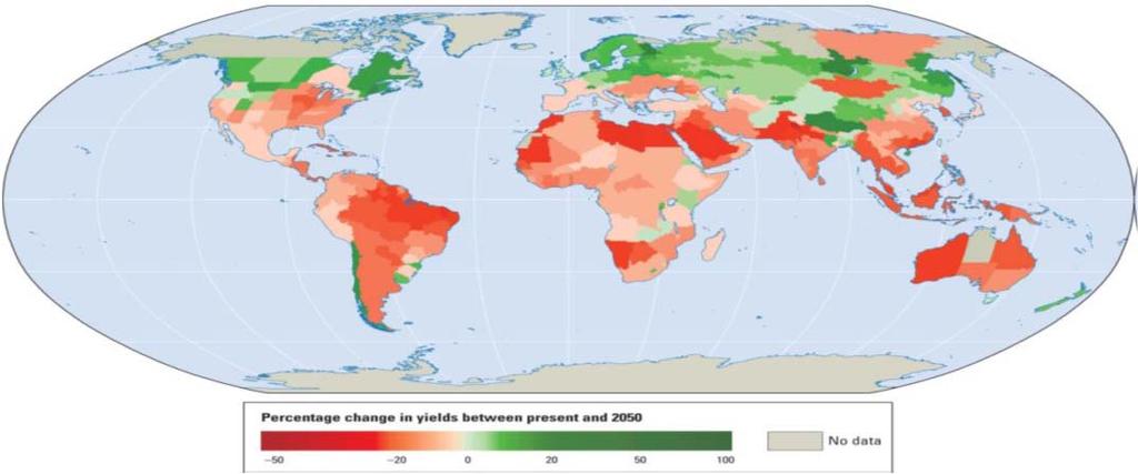 Potential agricultural yield decreases due to climate change by 2050 Source: C.
