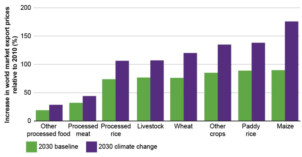 Development Report 2010. Impact of climate change on food export prices in 2030 Source: D.