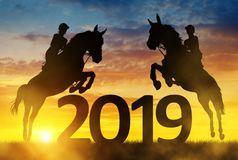 February Newsletter Presidents Report Hi Everyone, Welcome to the first Gidge Pony Club newsletter for 2019.