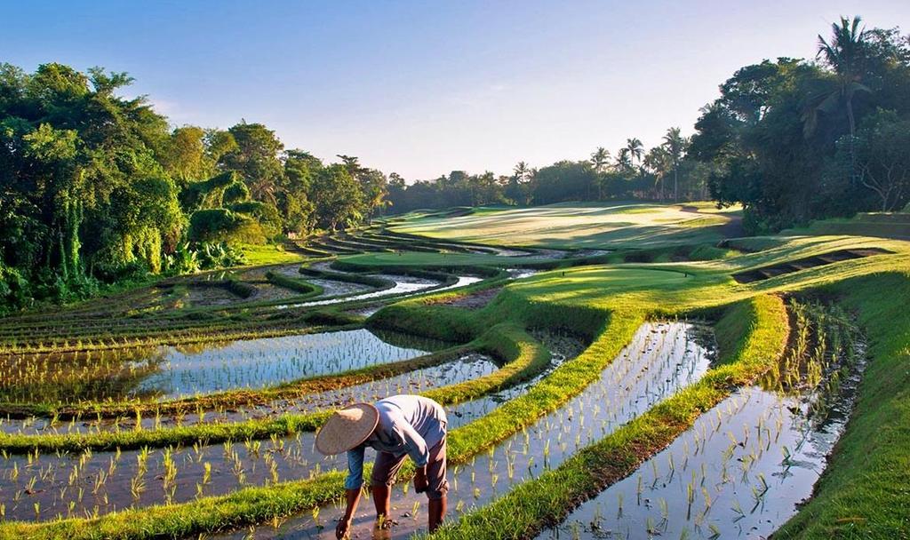 BALI LADIES GOLF RETREAT FULLY HOSTED BY GOLF & TOURS HOST ANDREA MCGANN 28 th JULY 2 nd AUGUST 2019 Bali is a living postcard, an Indonesian paradise.