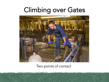 Try to avoid climbing over gates if possible. Never jump over gates or fences.