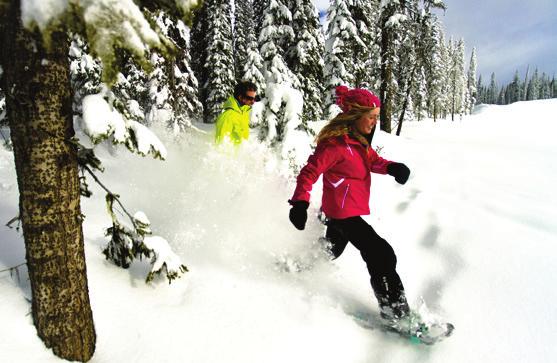FUN ACTIVITIES FOR EVERYONE snowshoe tours Get off the beaten track and enjoy Big White s spectacular backcountry