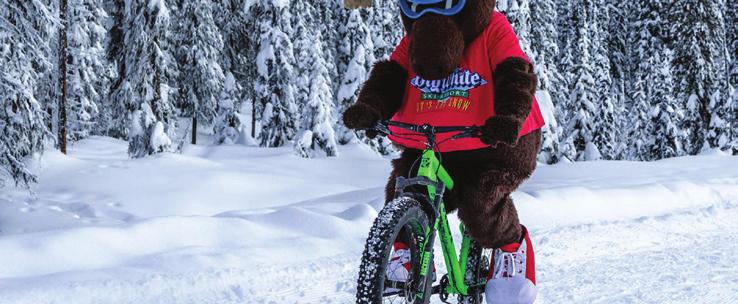 snowmobile tours Big White s varied terrain allows for a range of snowmobile adventures from gentle family