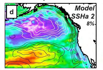 Colour: Sea surface height anomaly in numerical model.