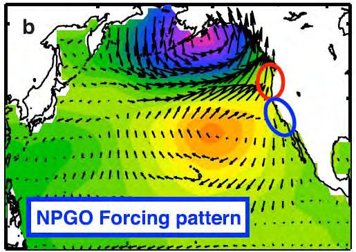 Upwelling inside white contours Colour: NCEP air pressure associated with NPGO.