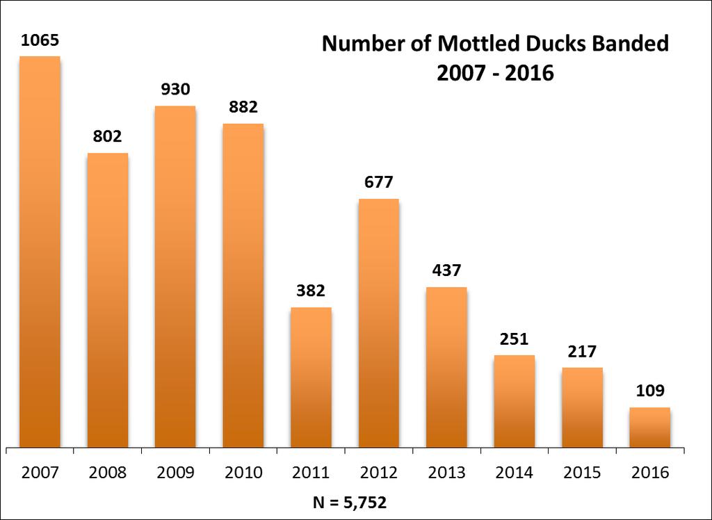 W a t e r f o w l P e r m i t P r o g r a m P a g e 5 harvested an estimated 8,479 mottled ducks during the 2015-16 hunting season, which accounted for approximately 4.