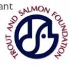 Wildlife Foundation Five Star Restoration Grant US Fish and Wildlife Service Forest County Potawatomi Community