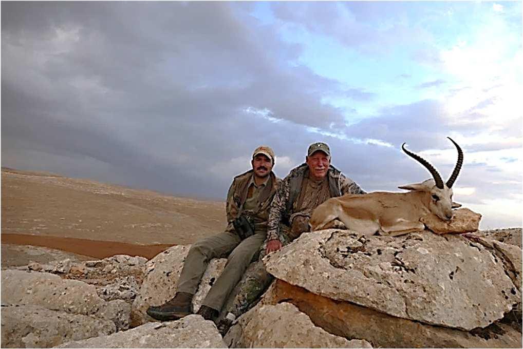 Although there are few licenses available, this gazelle is high in numbers and it is possible to find very good sized trophies in this well managed Hunting area.