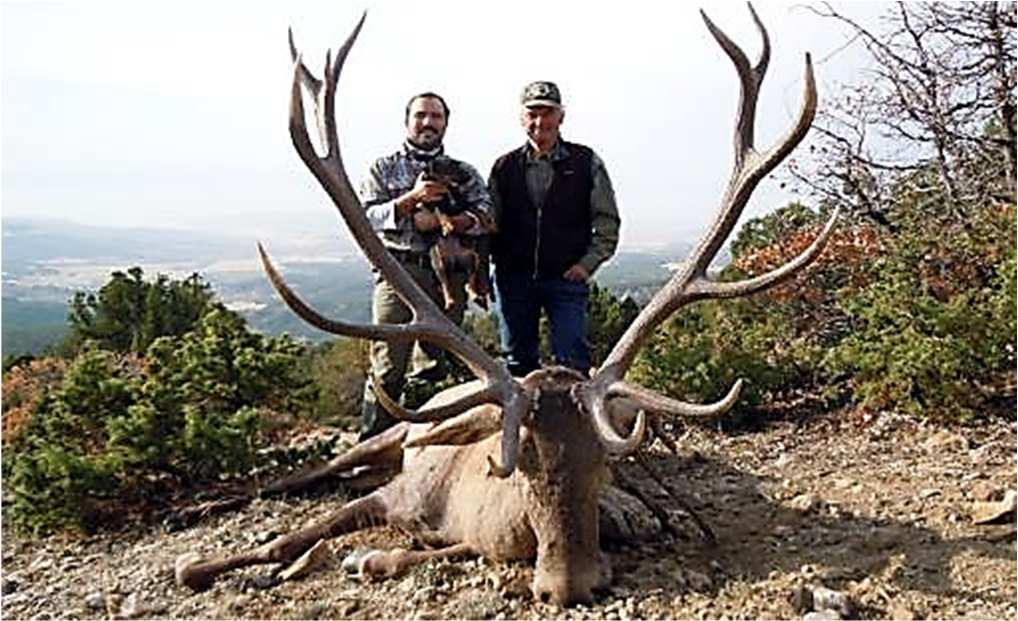 The areas we hunt in have very good population and especially very high trophy quality.