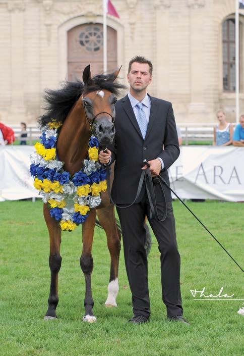 We don t want many horses in training. We prefer a few very good quality horses so we can prepare them the best. Frederik is very talented and he always likes to learn, what I appreciate very much.