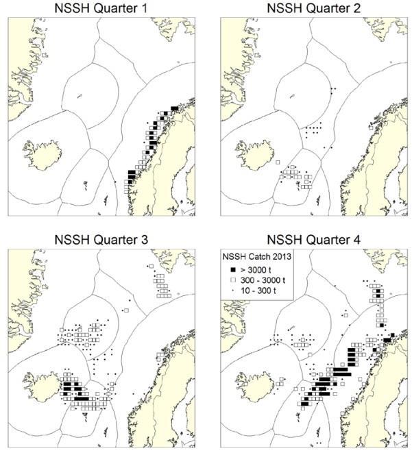Total reported catches of Norwegian spring-spawning herring in 2012 by quarter and ICES rectangle.