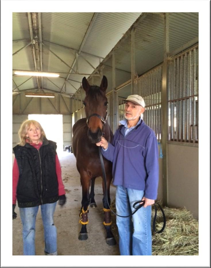 Getting to know... Rob and Maureen McBryde from Summerset Park Stud have been great supporters of Minervini Racing in recent years.
