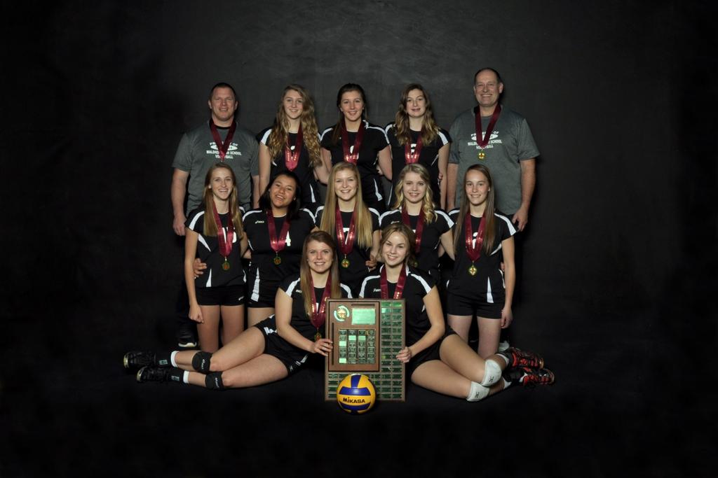 Provincial volleyball - CVAC runs wild! November, 2014 November 2014 was THE month to remember in Central Valley history as it pertained to senior volleyball.