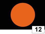 *Black Flag with Orange Disc, (Meatball), generally displayed with kart number: This flag should be used to inform the driver concerned that his/her kart has mechanical problems likely to endanger