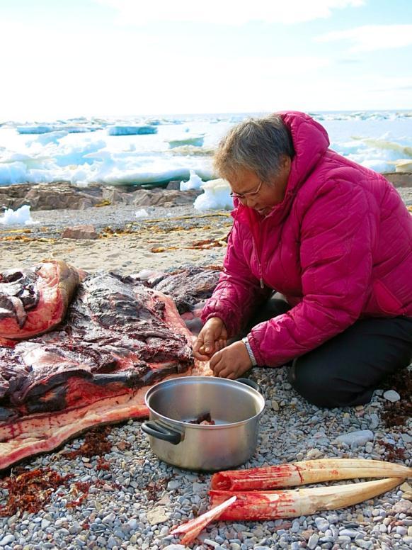 Background- Current Management Pursuant to subsection 6(1)(c) of the Marine Mammal Regulations, an Inuk may, without a licence, fish for food, social or