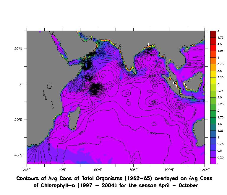 Satellite Imagery (Zooplankton population) Zooplankton data compared with the earliest available satellite data on chlorophyll a Zooplankton density (contours)